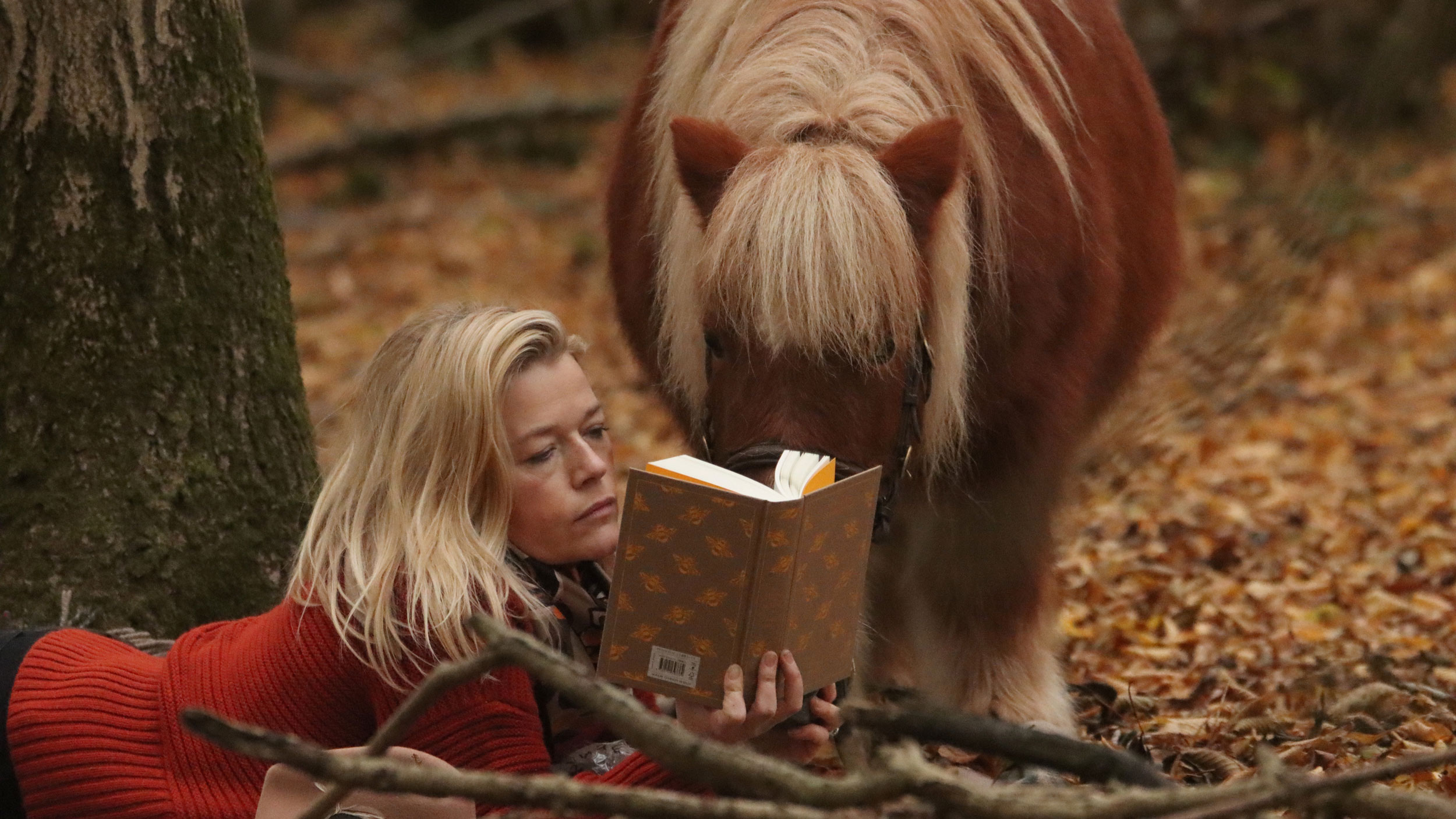 Ali Reading